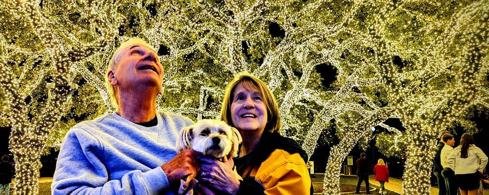 Family with dog looking at the holiday lights. 