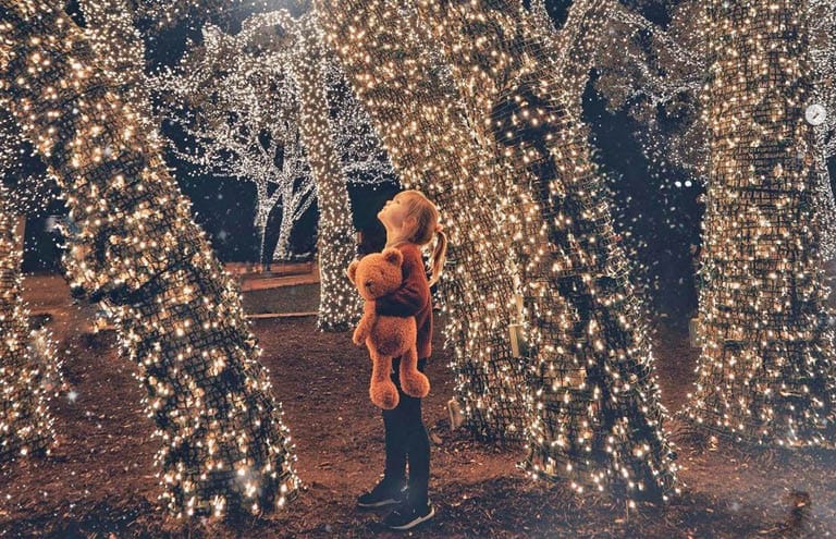 Little girl looking up at the holiday lights.