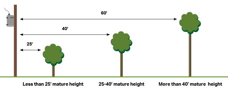 Illustration consists for a power pole and the distance needed between trees