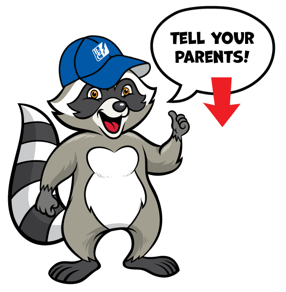 Illustration of Wattson Raccoon with thumbs up