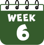 Week 6