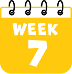 Week 7
