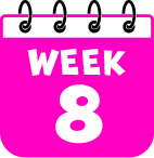 Week 8