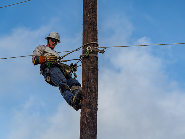 linemen-web4