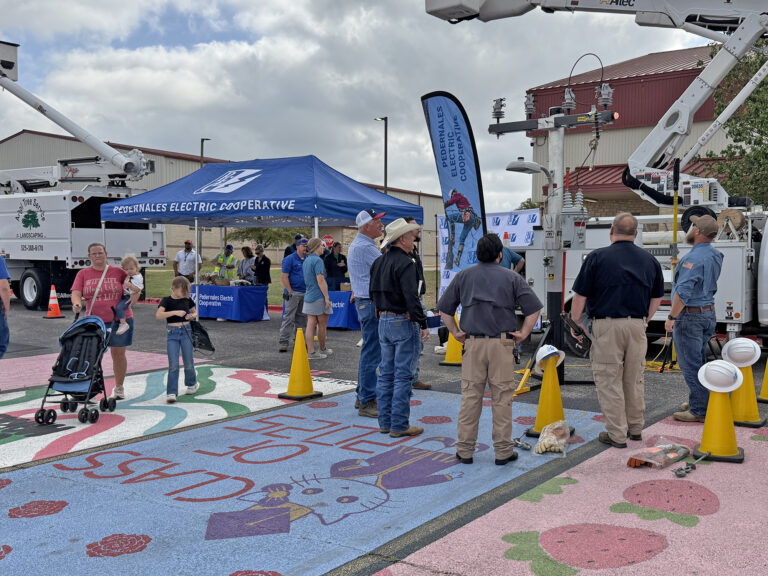 Photo of PEC employees and members at Ready As One fair.