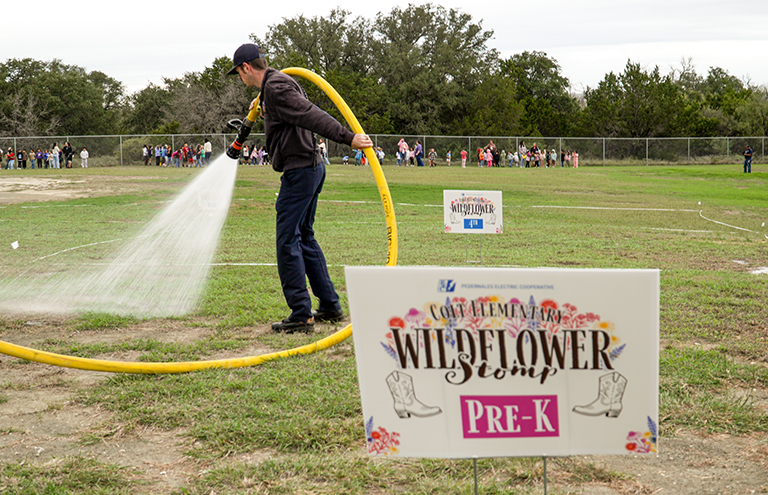 PEC-WILDFLOWER-2026-01