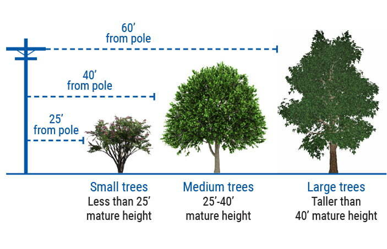 Planting guide diagram