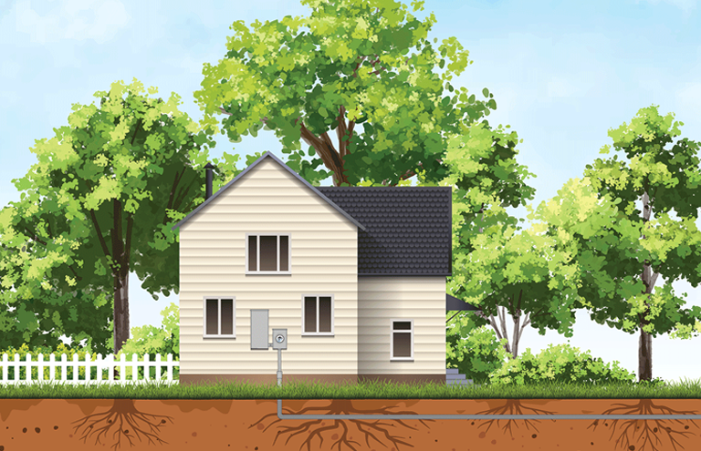 Graphic illustration of a home with trees around it.