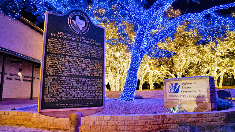 Photo of PEC's headquarters with Oak trees lit up.