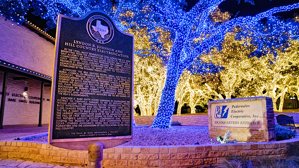 Photo of PEC's headquarters with Oak trees lit up.