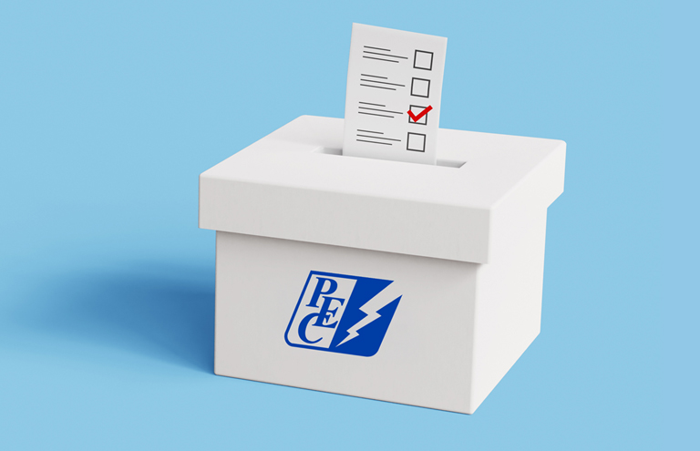 Image of voting box with PEC logo on it